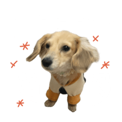 bibi_20250412153907