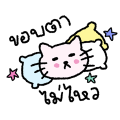 daisymeow