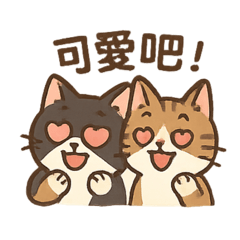 Sa&Mi