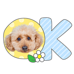 StampNo:5196