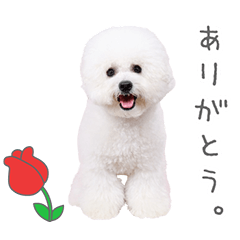 StampNo:5203