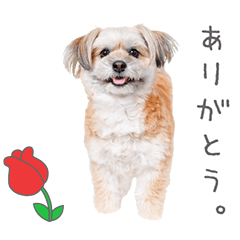 StampNo:5201