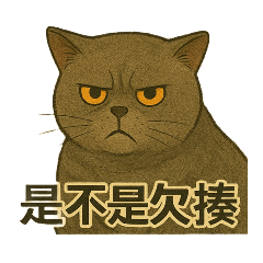 大尾和橘子
