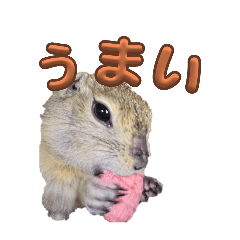 Yun_20250414150541
