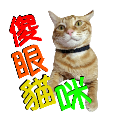 a29213012_20250412030616