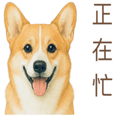 狗勾圖鑑