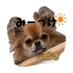 MUGI_20250414203358