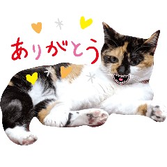 mika_20250414203753