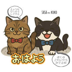 momo_20250413181101