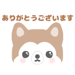 haru_20250414181853