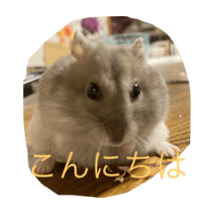 chiharu_20250414181412