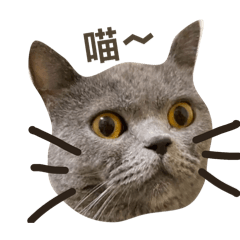 QA_20250412100850