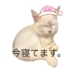 Lucas_20250414184358