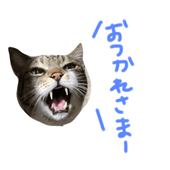 Nekoのstamp 2