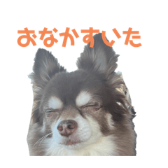 MIHO_20250414221851