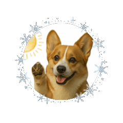 Corgi greeting 3