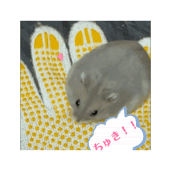 mimi_20250415090826