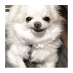 omochi_20250414223656