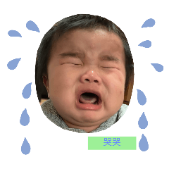 可愛Primo寶寶的照片貼圖