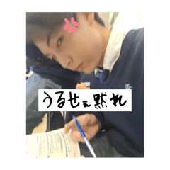Aoi_20250415080322