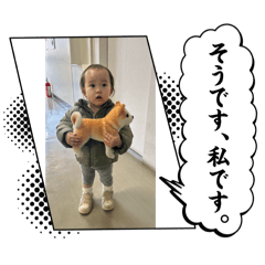 JK_202504150833126666