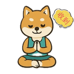 犬犬瑜伽