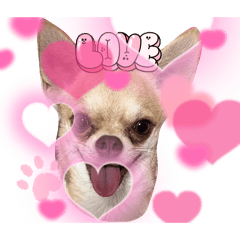 MEW_20250412201526