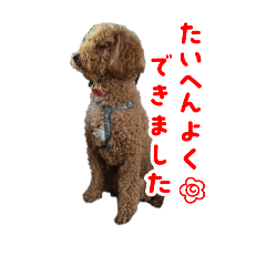 POTATO_20250414213806