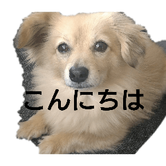 ayumi_20250414214116