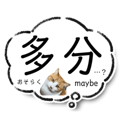 猫達の日常・のりこむぎ6