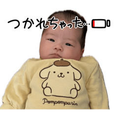 pom_20250415104235