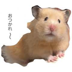 Ayumi_20250414161903