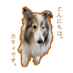 Katy-no-Sticker