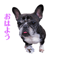 sato_20250415001525
