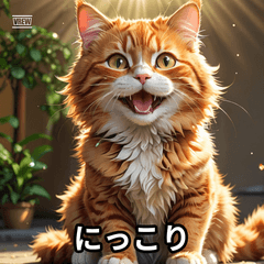 "The Cat Says It All"