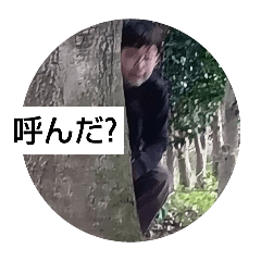 t_20250414215559