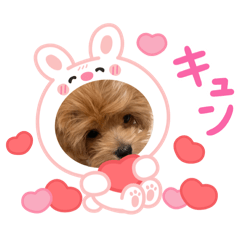 kitty_20250414220029