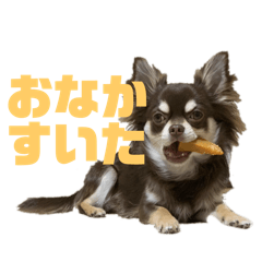 akimitsu_20250414215805