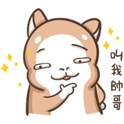 Multiple personality cat