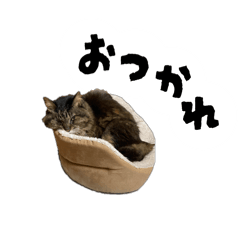 Misaki_20250414231313