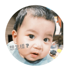 搞怪小豬