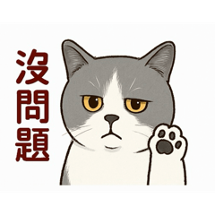 英短賓士貓