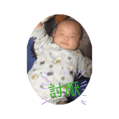 柚子寶寶的の日常之動圖1