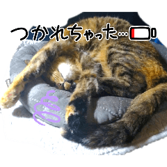 隣の麦ワラさん