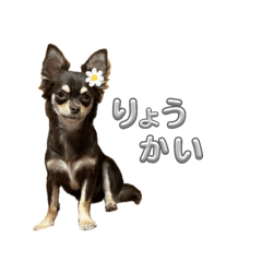 ma_20250414205126