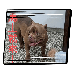 seven(惡霸)很實用的貼圖