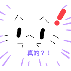HAVE NICE DAY  貓的一天