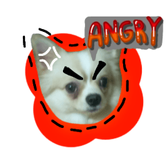 kantapat_20250410113806