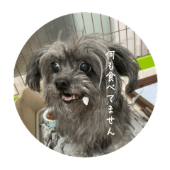 baby_20250414224907
