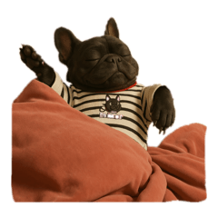 COCO_____3